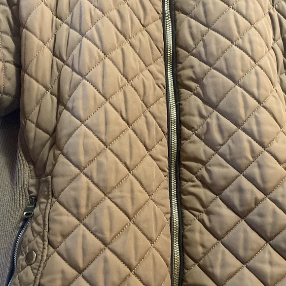 Love Tree Brown Quilted Puffer Jacket with Stand-Up Collar - Picture 8 of 10